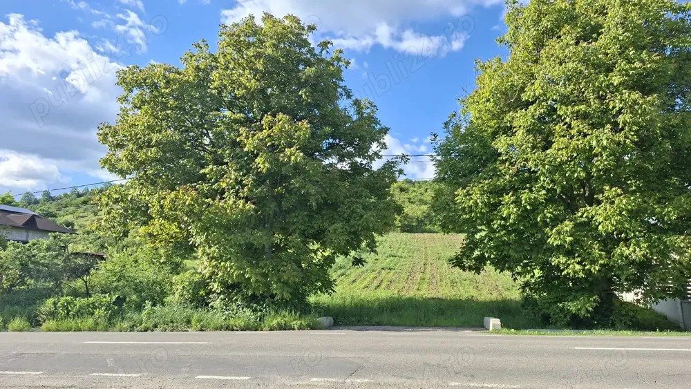 Teren intravilan 4.300 mp, Ivănești, Mureș