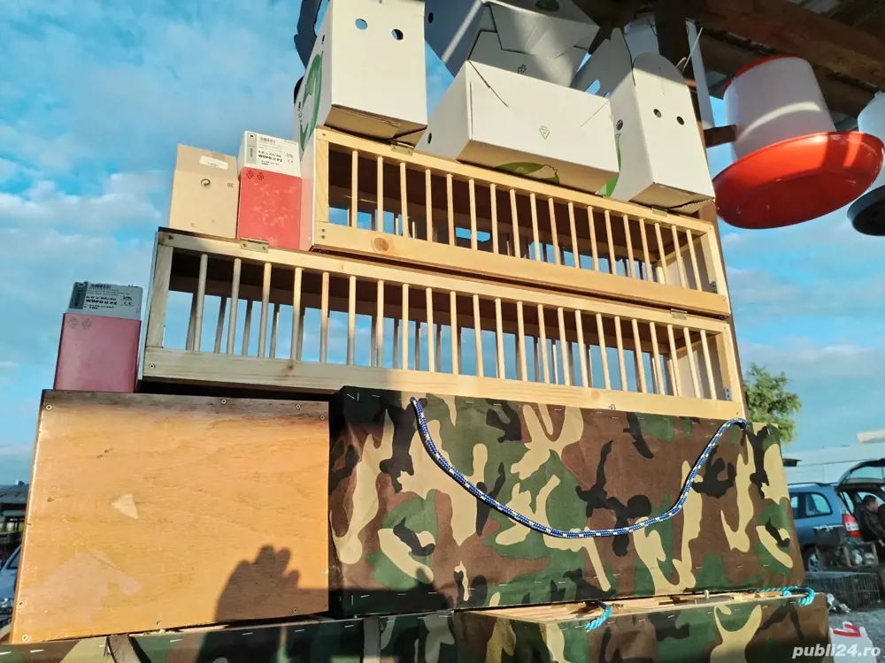 Cuti transport porumbei 