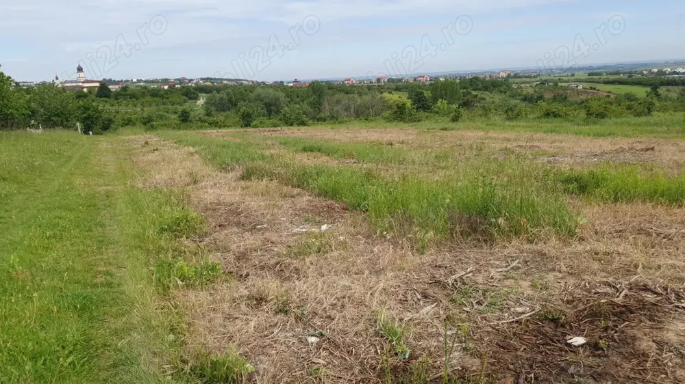 Vand teren intravilan Paleu, 45 euro , are nomenclator stradal (SUPRAFATA PLANA) 3100 mp, str. Verii