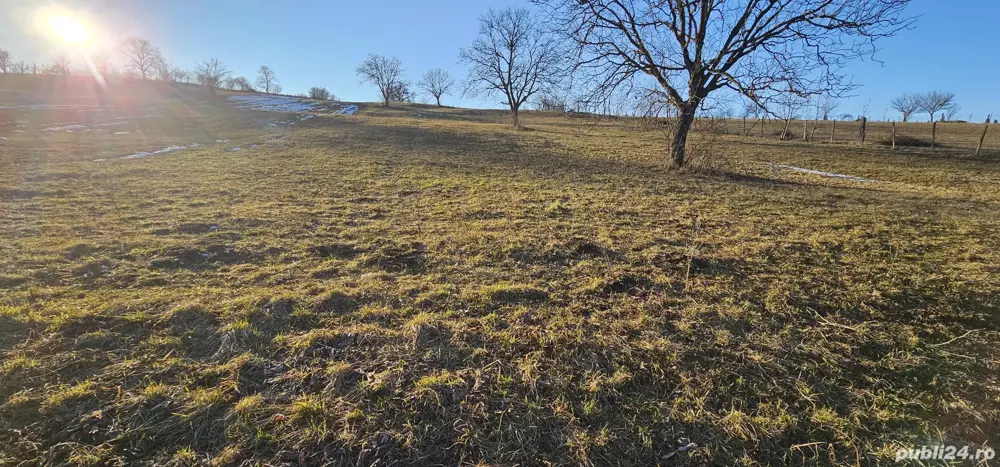 Teren 33 ari Dumitra