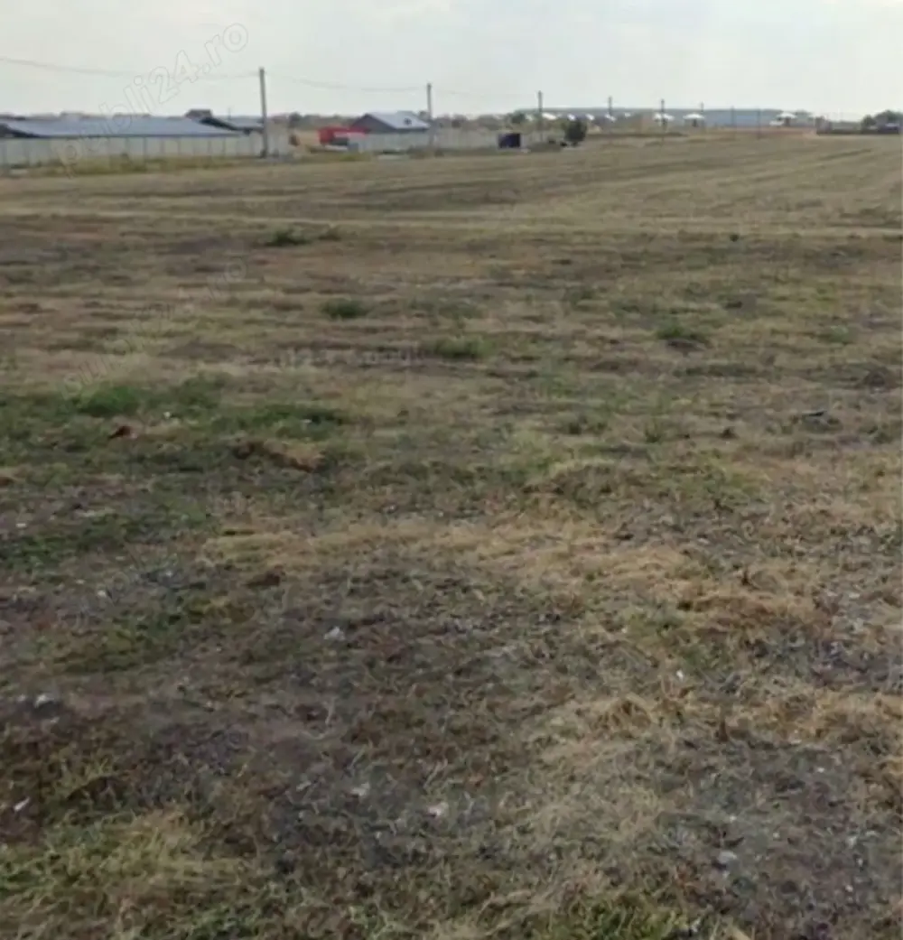 Teren Dragomirești Deal 5000 m