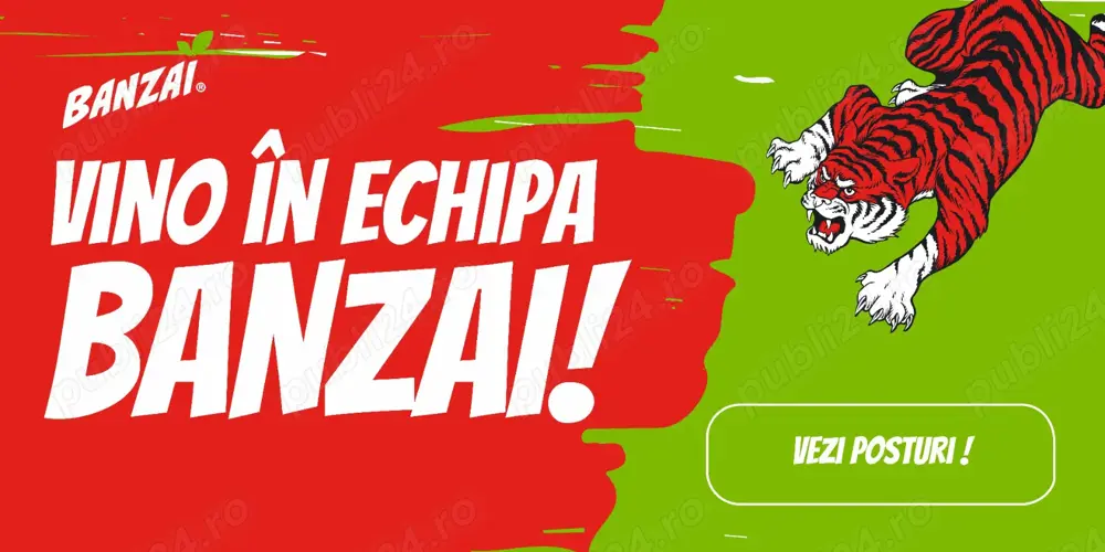 Angajam urgent Sofer Livrator  Distributie - produse snack- Ploiesti