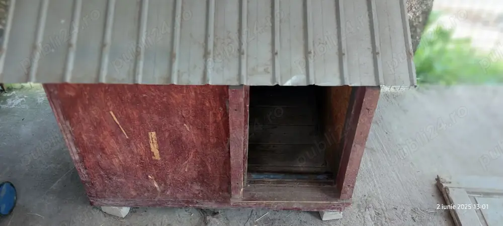 cusca cotet pentru caine mare