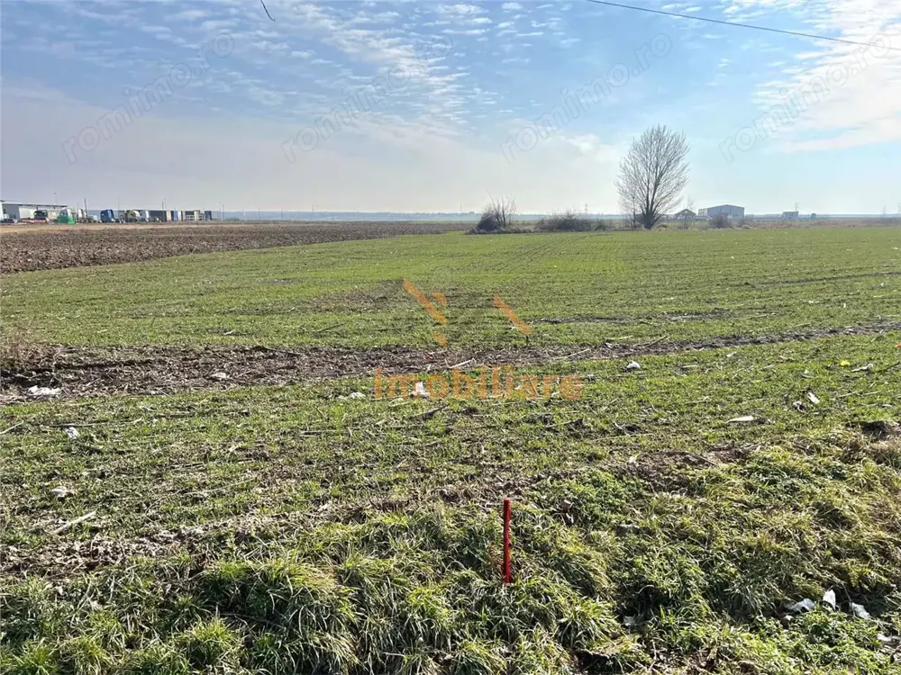 2 PARCELE TEREN INTRAVILAN | 3000mp + 2985mp | NOJORID E671 (Oradea–Salonta) | BIHOR