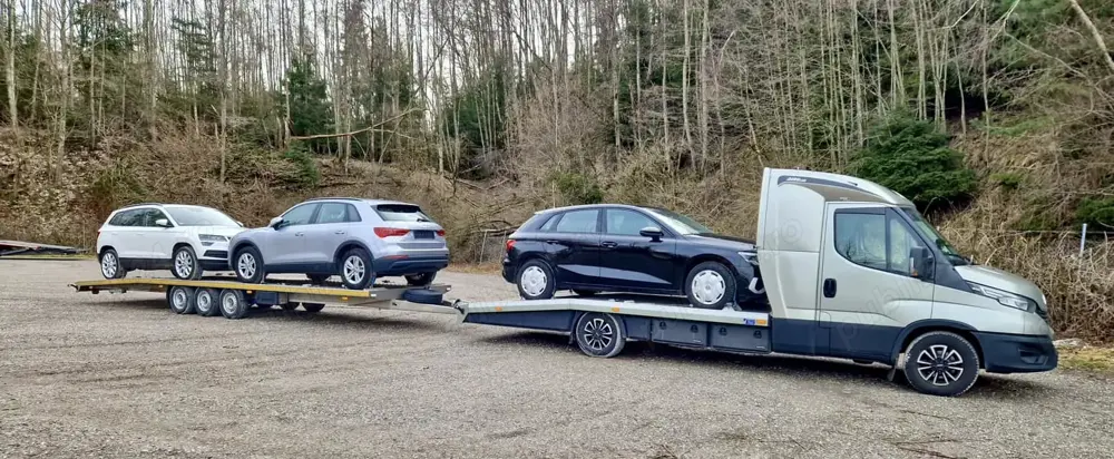 Sofer C+E pe transportor auto mic - 3 pozitii - 7 tone