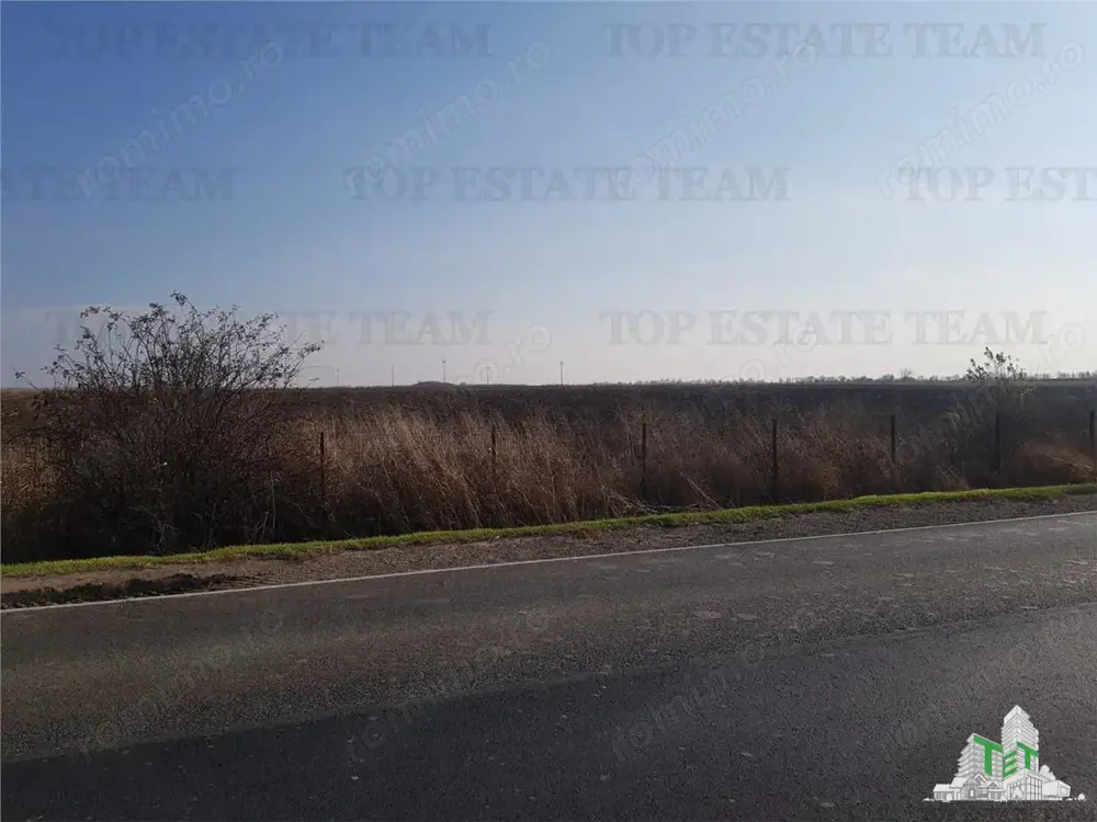 Teren extravilan - Braila - E584 - vanzare