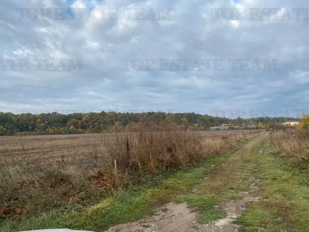 Rate la dezvoltator|Teren cu deschidere la padure