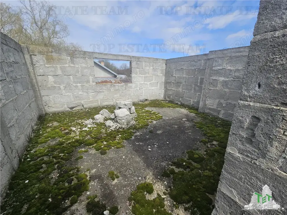 Teren 2400mp stradal + casa batraneasca in Mihai Voda Giurgiu