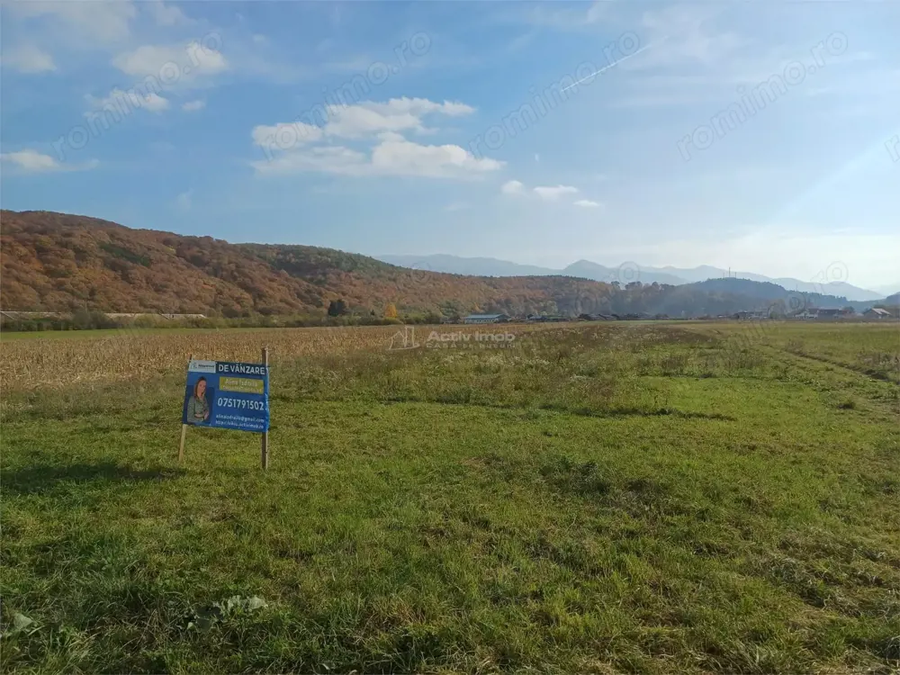 Teren de vanzare pentru constructii case 1 hectar