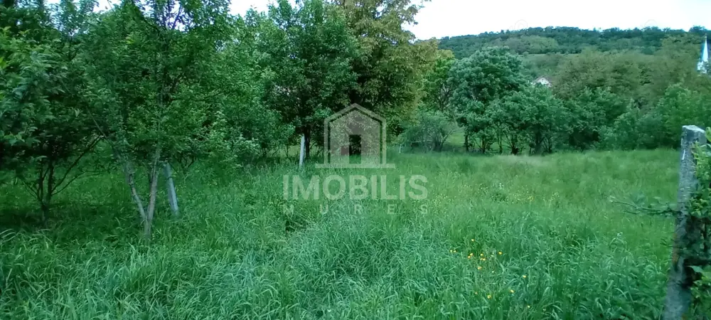 Teren intravilan | Budiu Mic | 994 mp