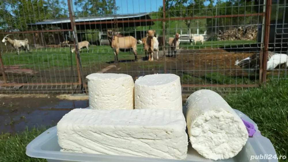 Branza, lapte, ieduți, capre si tap