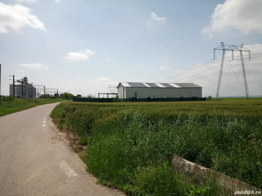 hala cu teren de vanzare 