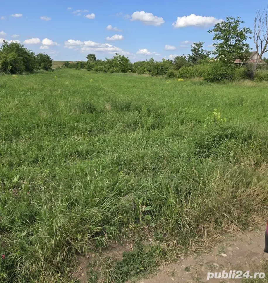   loturi teren intravilan