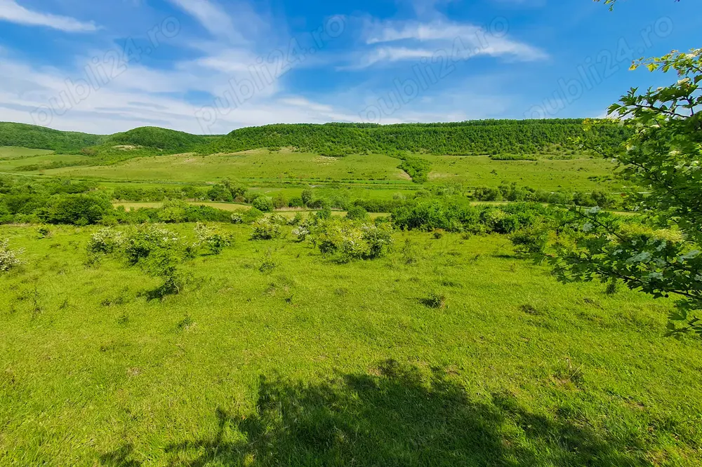 Teren extravilan superb în satul Ciumăfaia, comuna Borșa, Cluj.