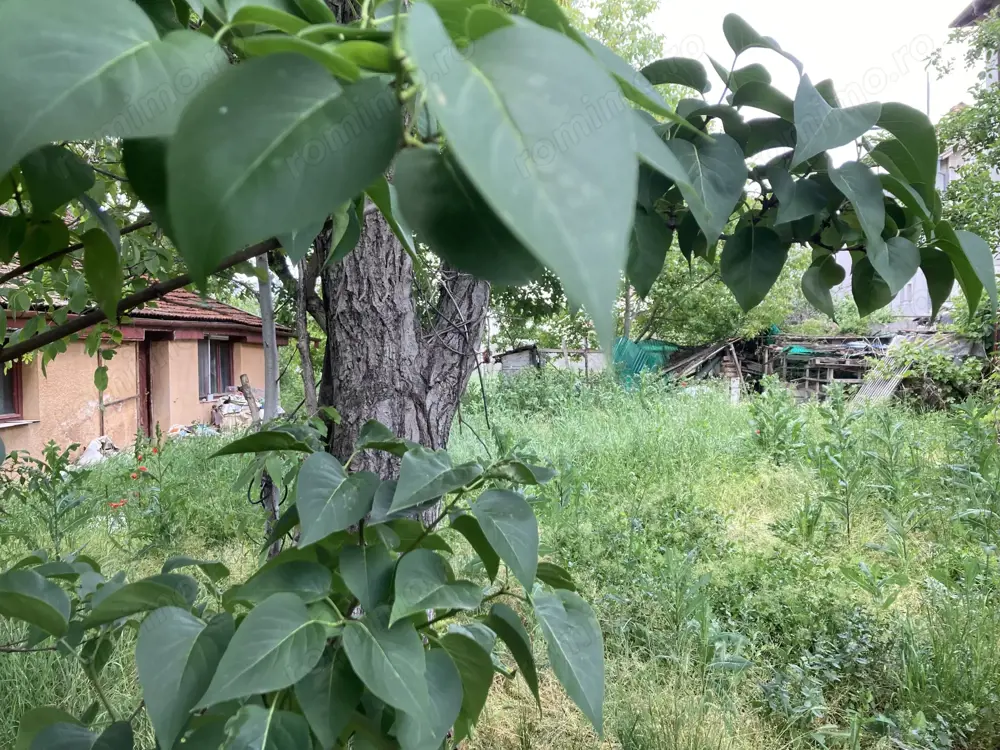 Teren central in Dumbravita 844 mp si FS 22 ml