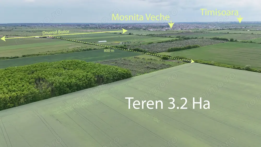 Teren 3,20 Ha intre Mosnita si Bucovat, access din Drumul Boilor si din Bucovat