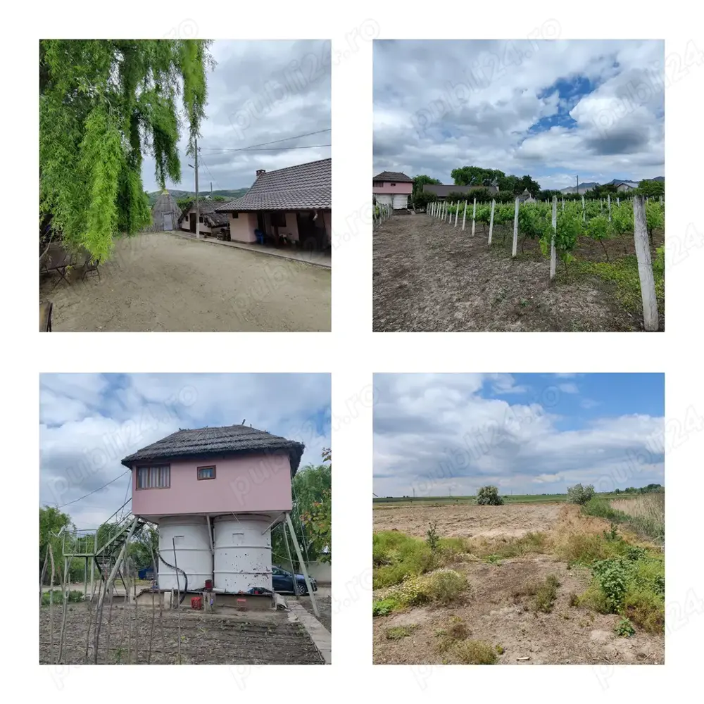 Vand ferma in Macin judetul Tulcea