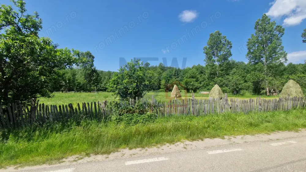 Teren de vanzare in judetul Arges, localitatea Arefu Teren de vanzare in judetul Arges, localitatea Arefu