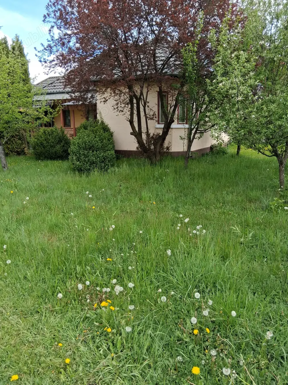 Casa de vanzare - municipiul Toplita, Judet Harghita