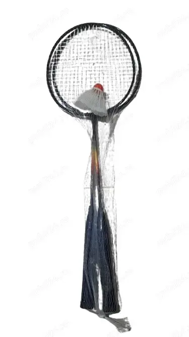 Palete de badminton
