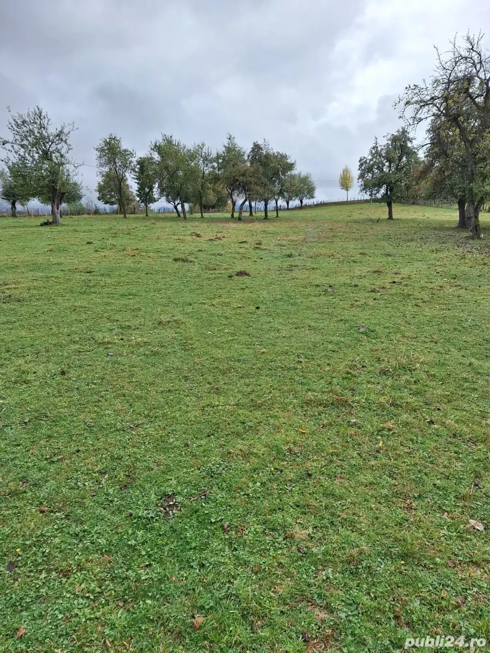 Teren Intravilan de Vânzare Sohodol, Bran | 13 300 mp