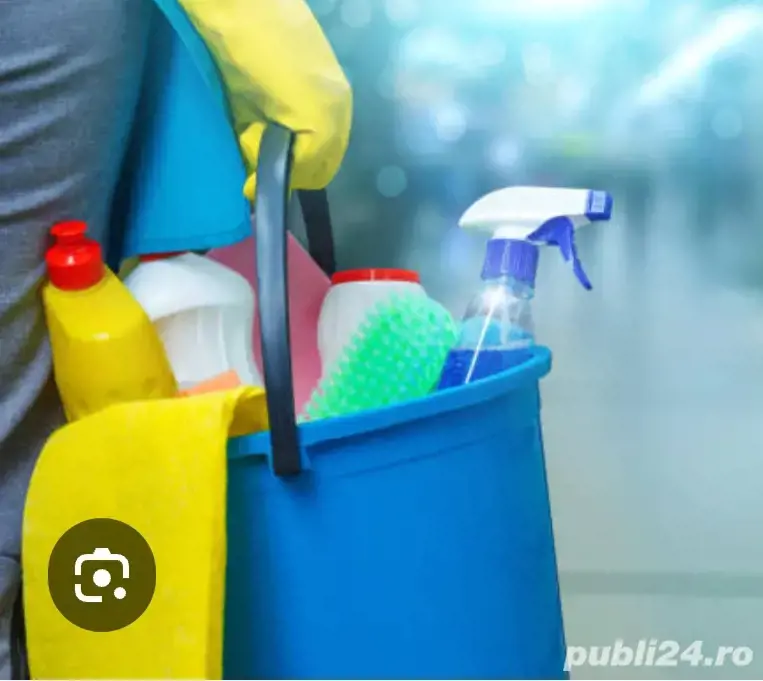 Curățenie la domiciliu 