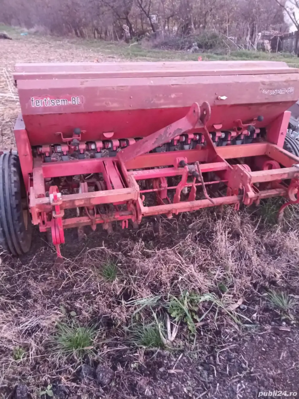 Semanatoare  paioasa