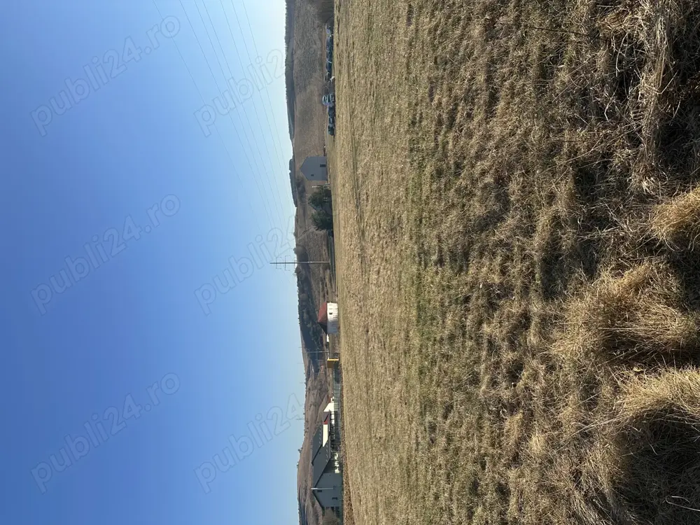 Teren intravilan de vanzare Savadisla