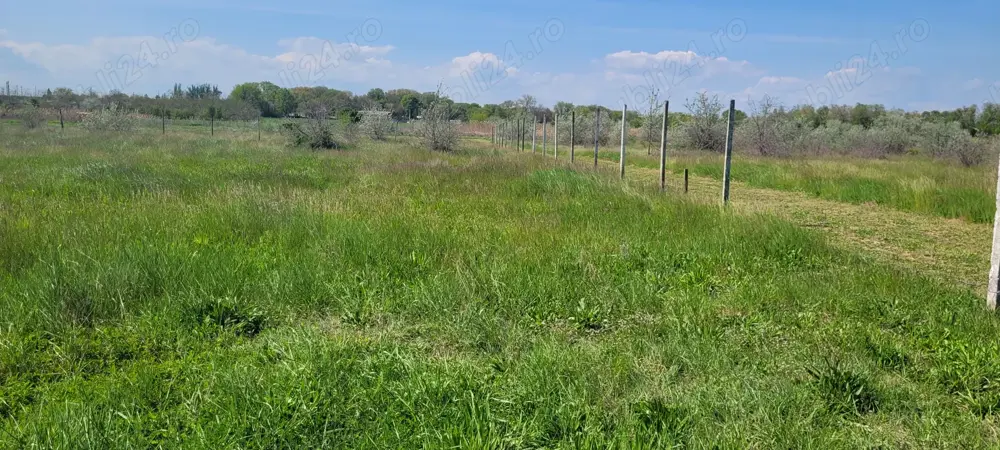 Vând teren extravilan în Năvodari