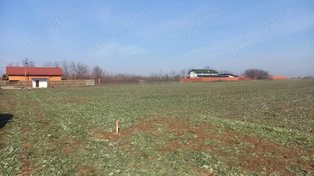 Teren intravilan Dârvari