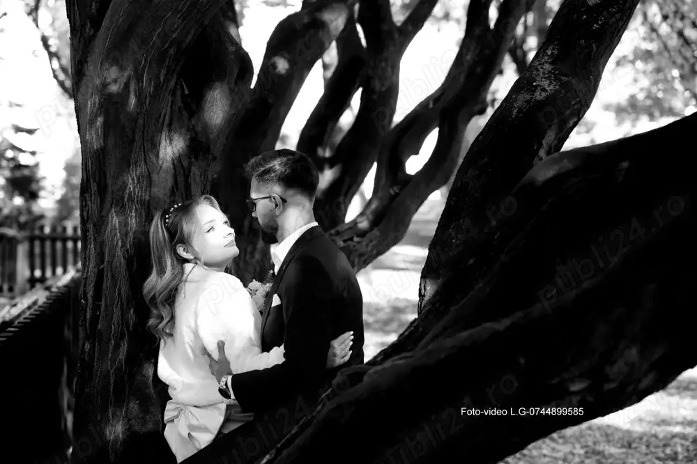 Foto-Video,Oglinda magica,Fum greu, artificii 