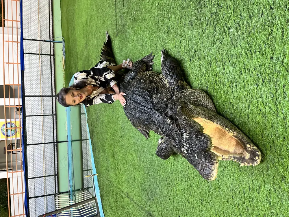 Masaj la domiciliu dumneavoastra! 