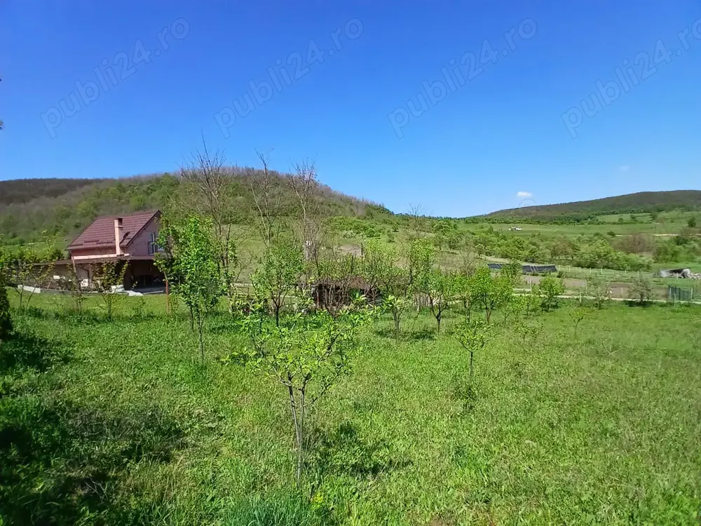 Vand teren 1000mp Aghireşu-Fabrici 