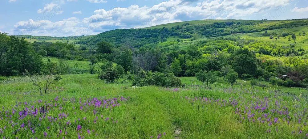 Vând teren.Panoramă de vis.