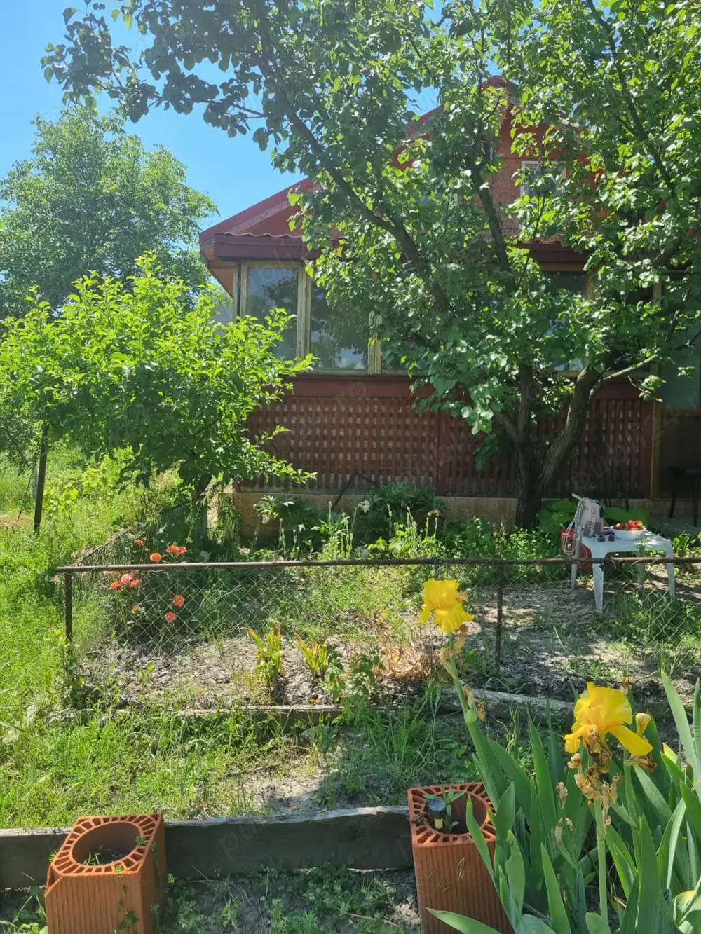 Vand casa cu teren 2093 mp Murgesti Buzau