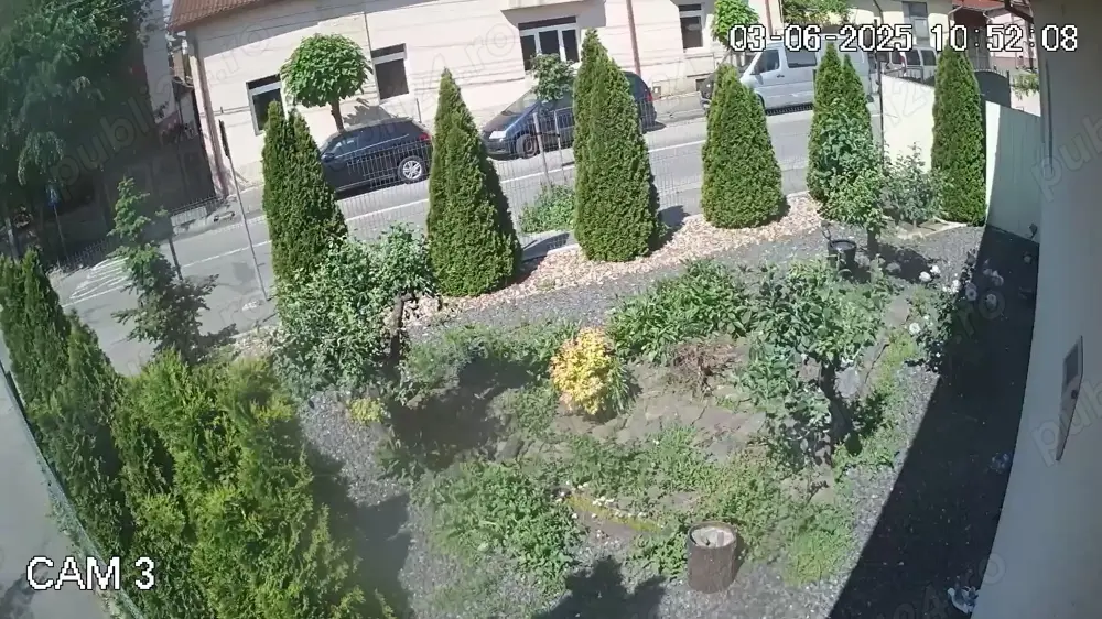 caut om  pentru curatenie  gradina