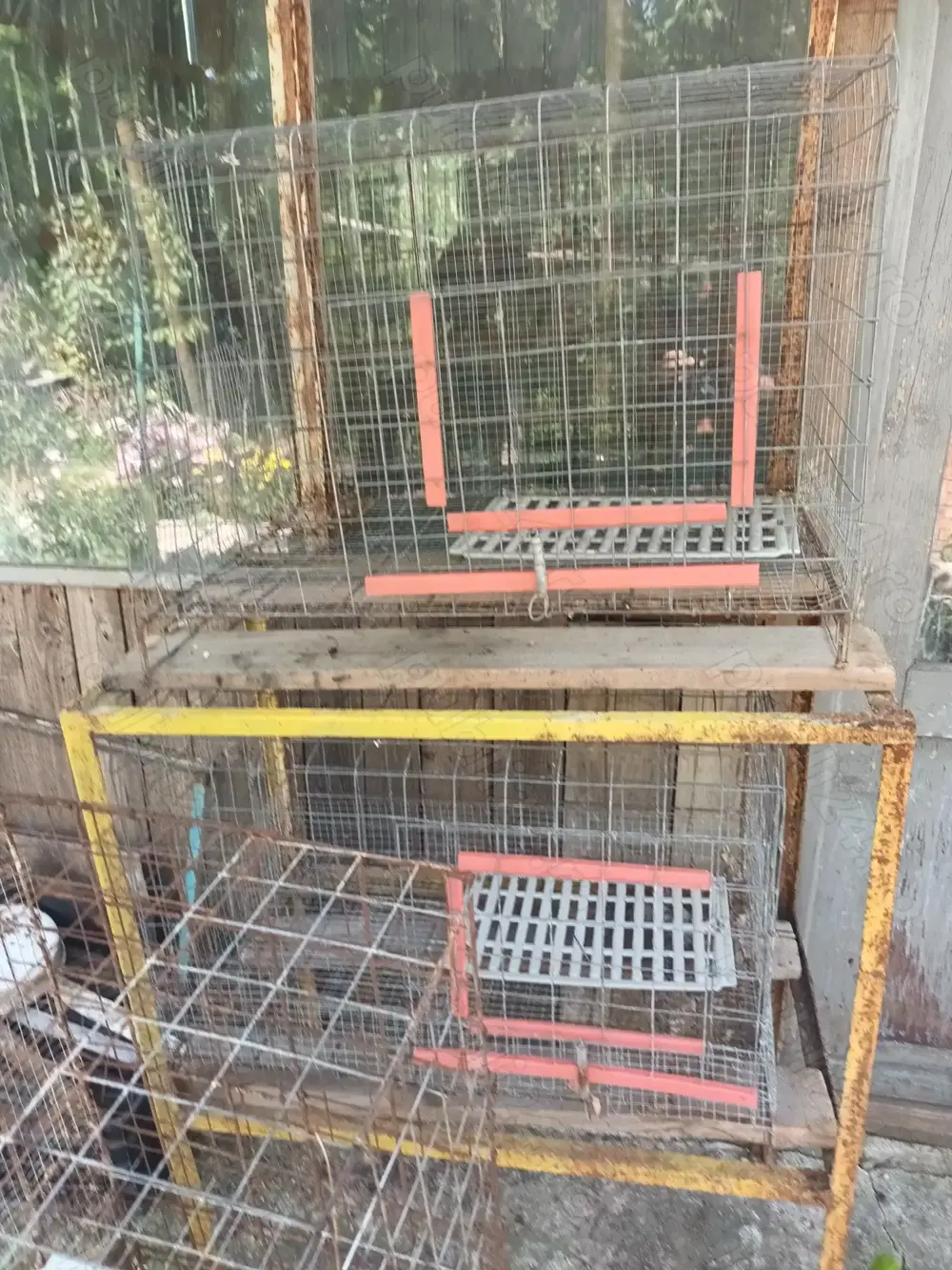 Vand custi din plasa metalica pentru iepuri.