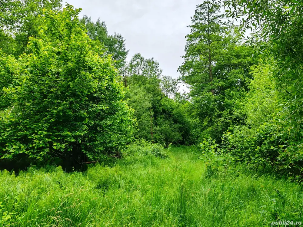 4000 mp teren in zona Fântânița Haiducului,Vestem