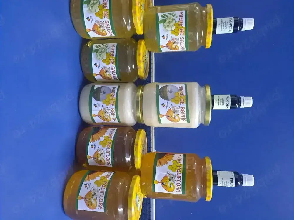 Vând miere de salcâm productie 2024!