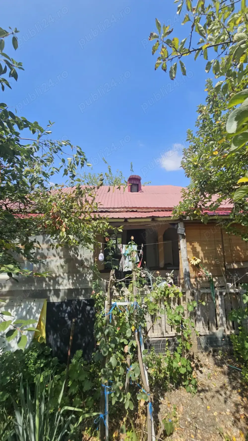 Casa de vamzare