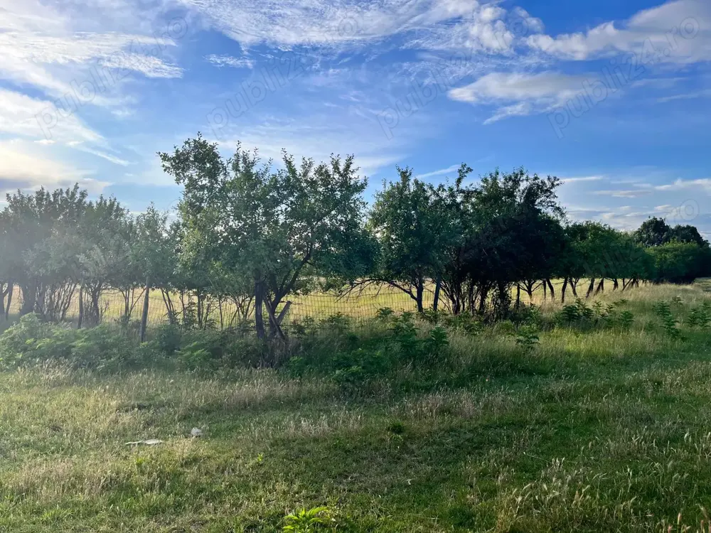 Vand teren intravilan in sat Cerna, comuna Liebling la 30 km de Timisoara