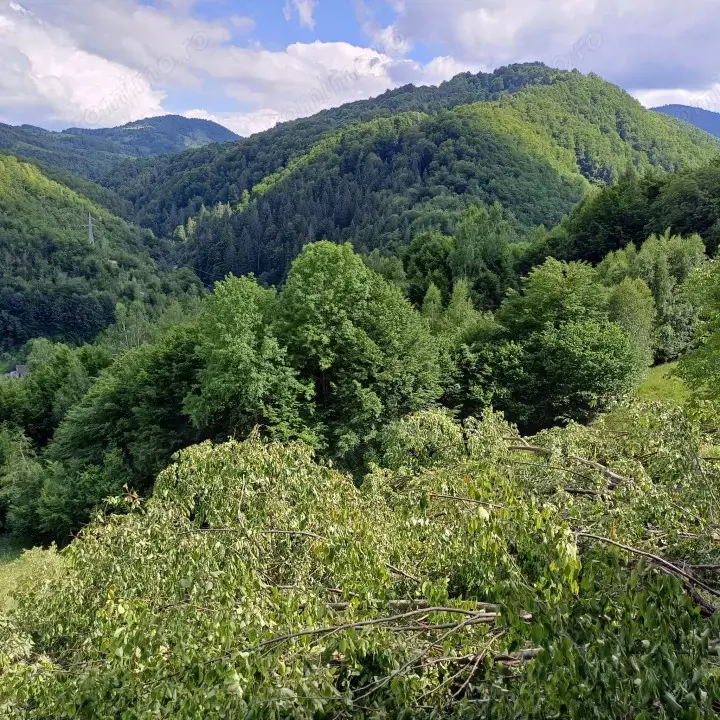 Oportunitate investitie, teren 170000 mp, parcelabil, Tranisu