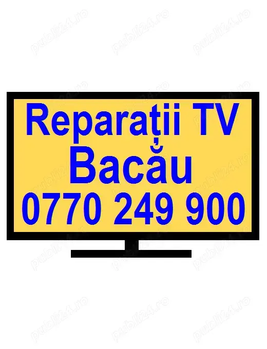 Reparatii TV Bacau Domino Service