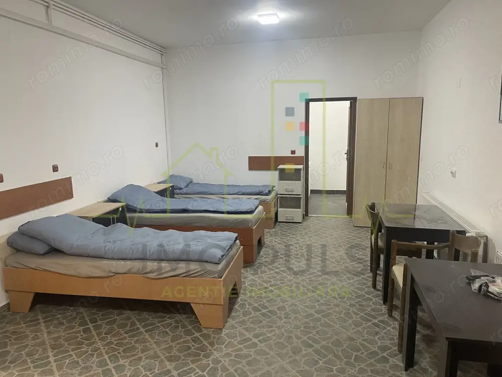 Casa Dumbravita. Teren 1.000 mp. 17 Camere.7 Bai. Pretabil cazare/firma/birouri