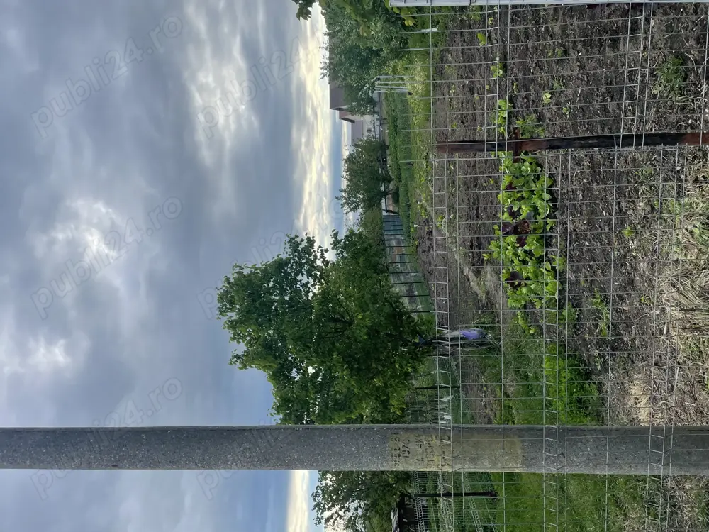 Vând teren Trestiana  intravilan Dorohoi 