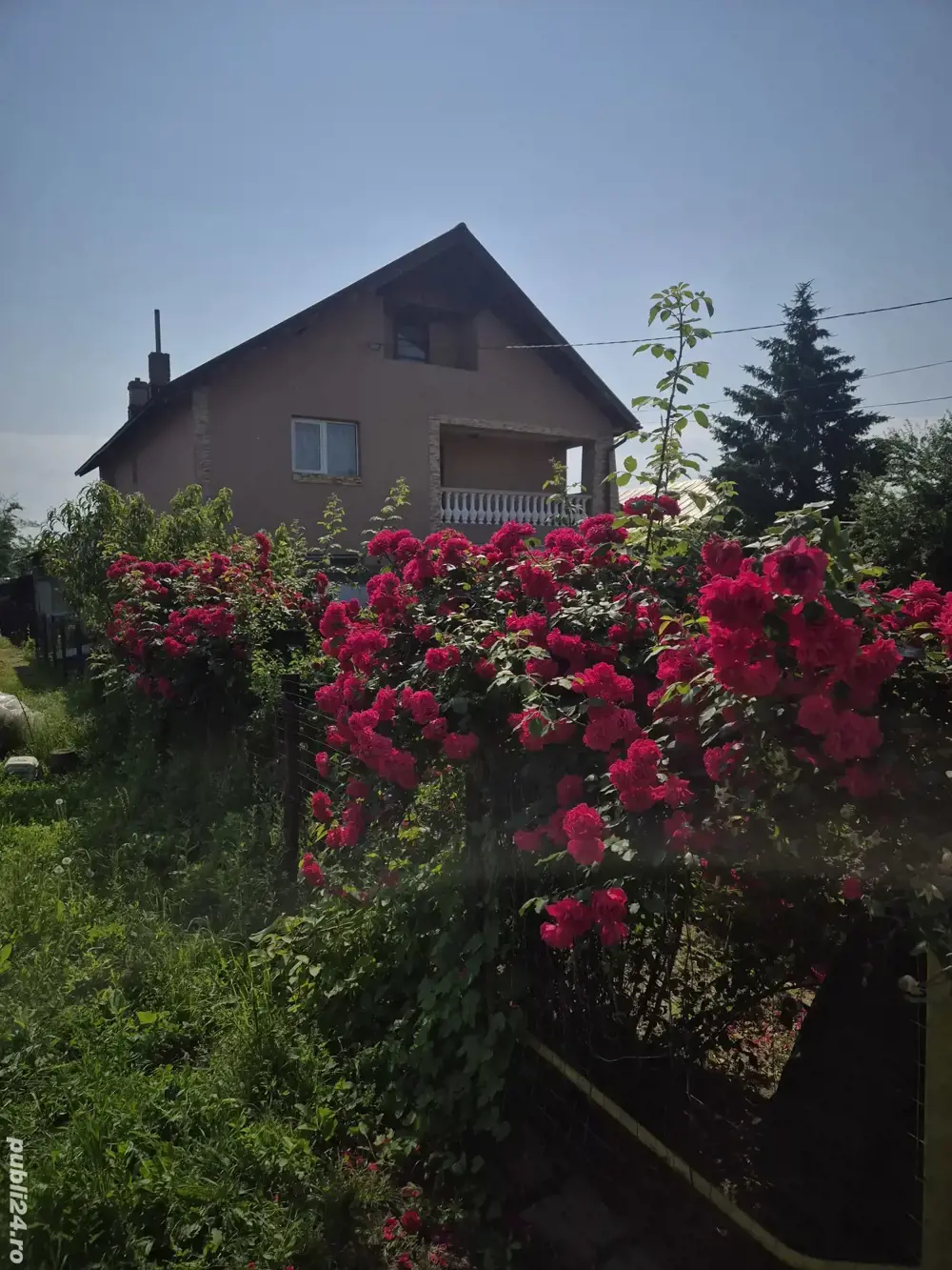 Casa de vanzare titu Dâmbovița 