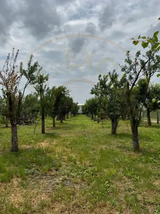 Teren Intravilan - Str. Gorganu - 1268 mp!