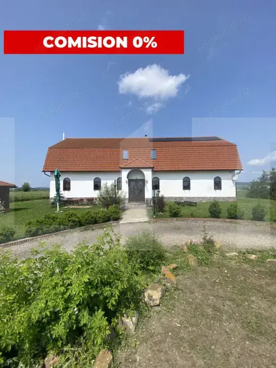 Conac de vânzare 7 camere, baie proprie, cramă, ciubăr și potențial 