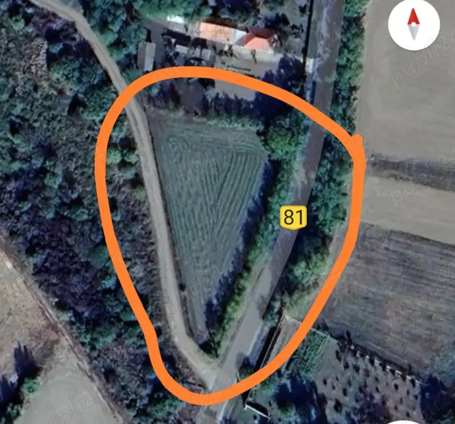 Teren Belciug 1895 mp