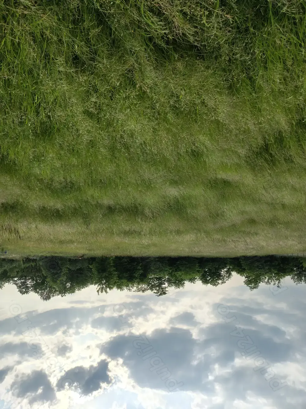 Teren intravilan de vânzare în Honorici 